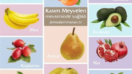 Mevsiminde Taze Meyve ve Sebzelerin Faydaları: Doğal Vitamin ve Mineral Deposu