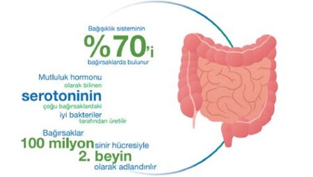 Probiyotikler ve Bağışıklık Sistemi: Sindirimi Destekleyen Doğal Çözümler