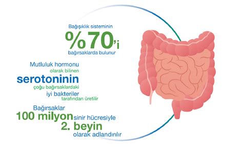 Probiyotikler ve Bağışıklık Sistemi: Sindirimi Destekleyen Doğal Çözümler